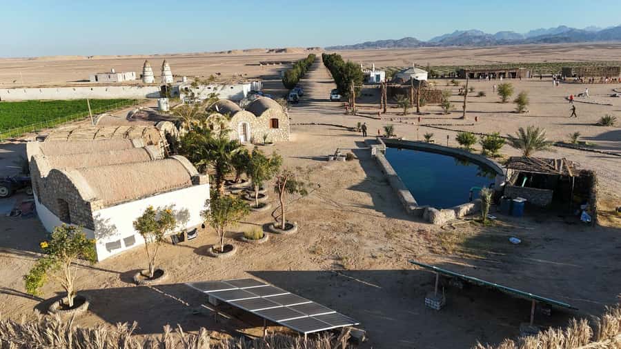 Hurghada: Jeep Safari, Tree Planting & Farm-to-Table Lunch - Key details before you book
