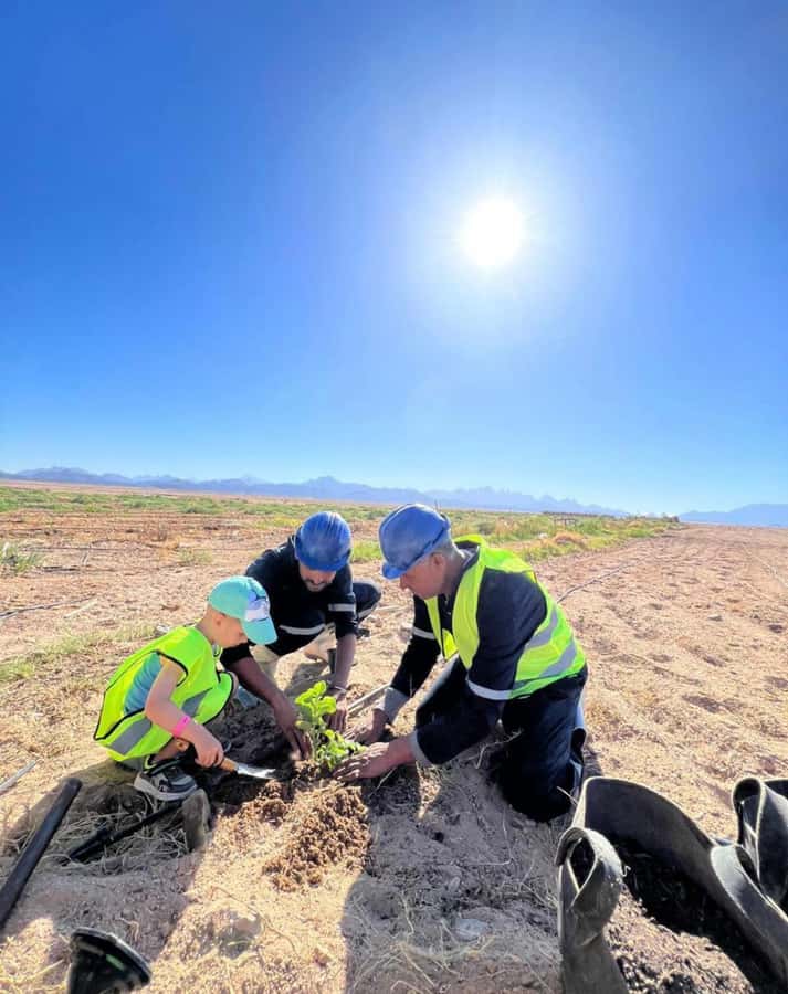Hurghada: Jeep Safari, Tree Planting & Farm-to-Table Lunch - Leaving Hurghada for the Sahara