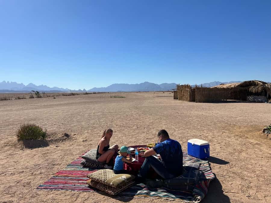Hurghada: Jeep Safari, Tree Planting & Farm-to-Table Lunch - Oriental breakfast before the farm work