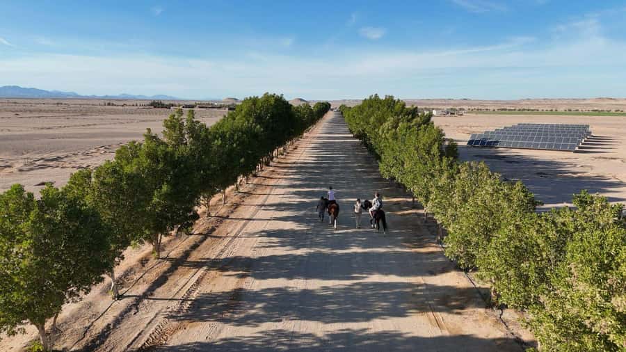 Hurghada: Jeep Safari, Tree Planting & Farm-to-Table Lunch - Planting a tree with your name on it