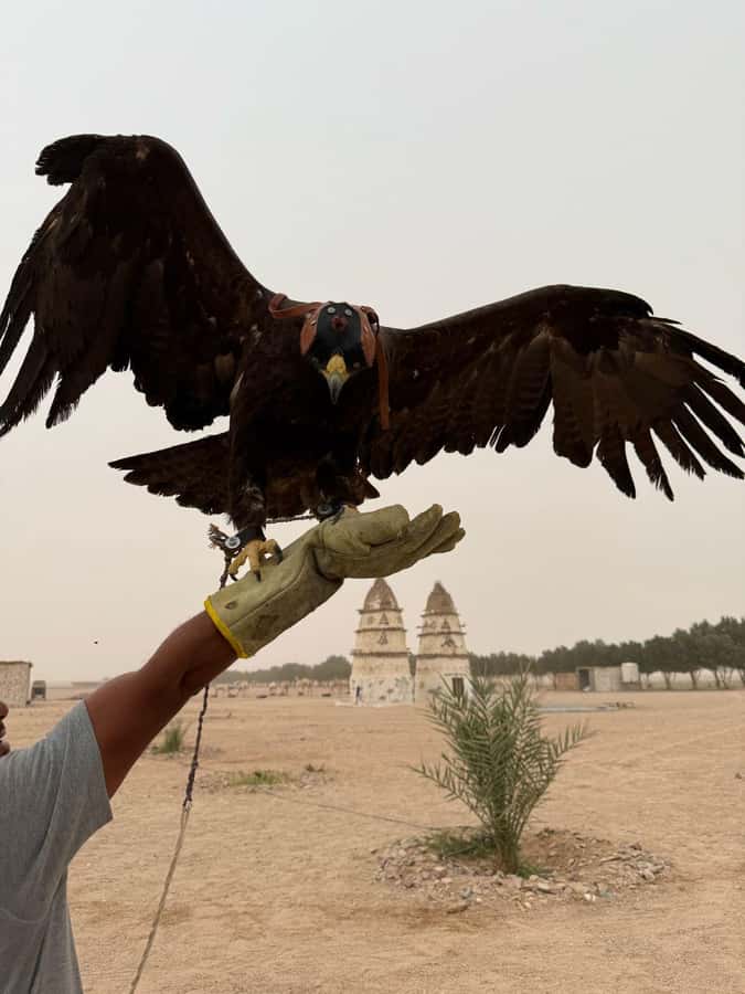 Hurghada: Jeep Safari, Tree Planting & Farm-to-Table Lunch - What the $53 price means