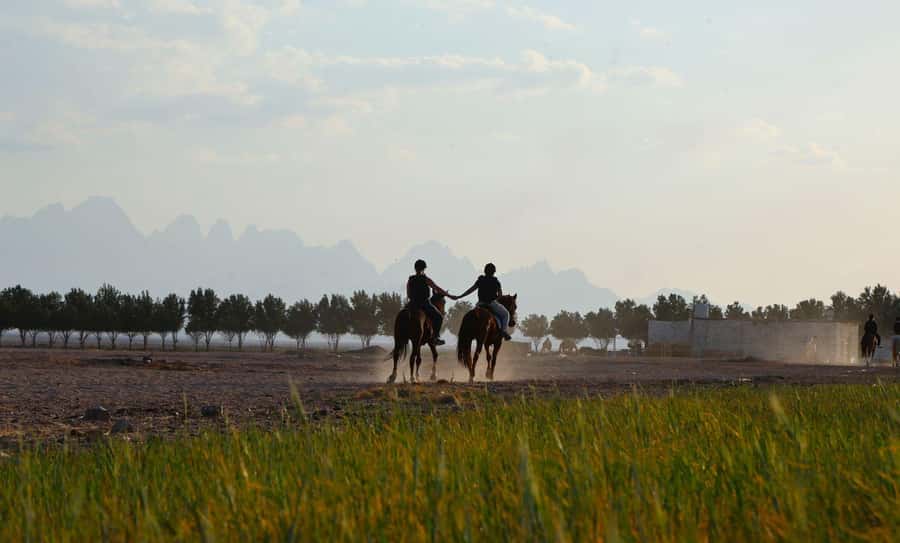 Hurghada: Jeep Safari, Tree Planting & Farm-to-Table Lunch - Guide, languages, and safety notes