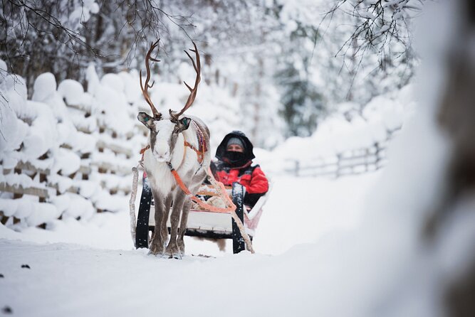 Husky and Reindeer Experience - What the four-hour schedule really gives you