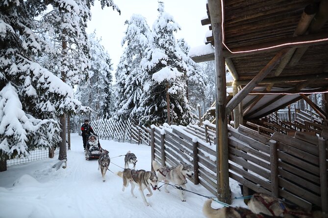 Husky and Reindeer farms visit with sleigh rides - Pickup deserves extra care
