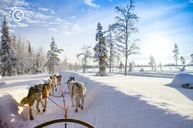 Husky Farm Visit & Sled Ride Experience - Clothing, mobility, and practical limits