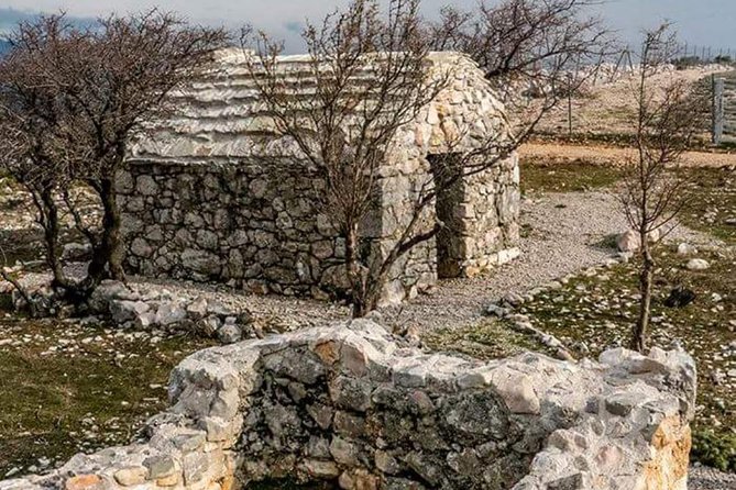 Immortelle farm island Krk - A short history lesson from 49 BC
