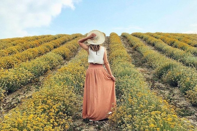 Immortelle farm island Krk - From flowers to oils at the distillery