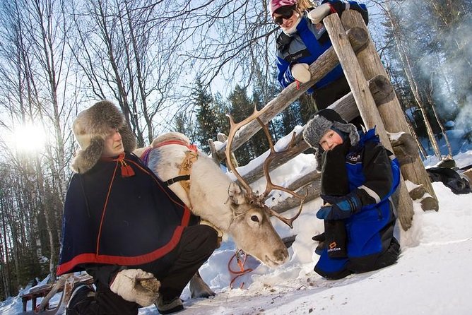 In Pursuit of Reindeer - Snowmobile safari to reindeer farm in Rovaniemi - Key points to know before you book