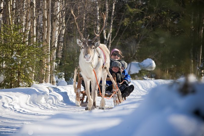 In Pursuit of Reindeer - Snowmobile safari to reindeer farm in Rovaniemi - Starting at Safartica in central Rovaniemi
