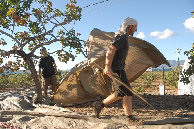 Insightful Pistachio Orchard and Factory Tour - The 9:30 am Start in Aegina