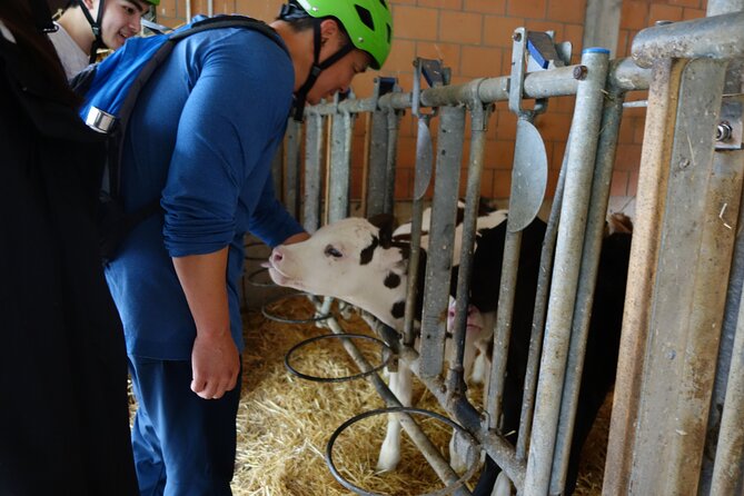 Interlaken 3-Hour Guided E-Bike Tour with a Farm and Ancient Villages Visit - Bönigen and the color of Lake Brienz
