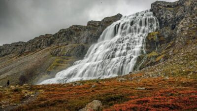 Dynjandi Waterfall Tour and Icelandic Farm Visit