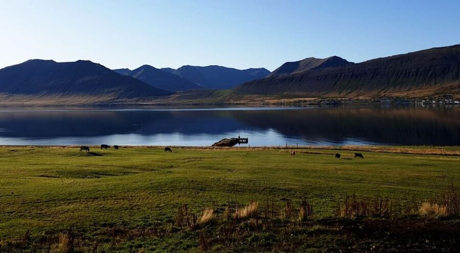 Isafjordur: Dynjandi Waterfall Tour and Icelandic Farm Visit - Gemlufell turns a waterfall trip into a cultural visit