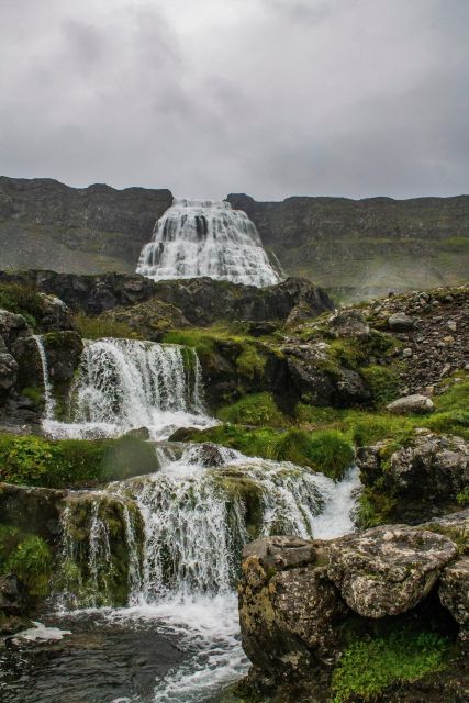 Isafjordur: Dynjandi Waterfall Tour and Icelandic Farm Visit - Try hjónabandssæla, the happy marriage cake