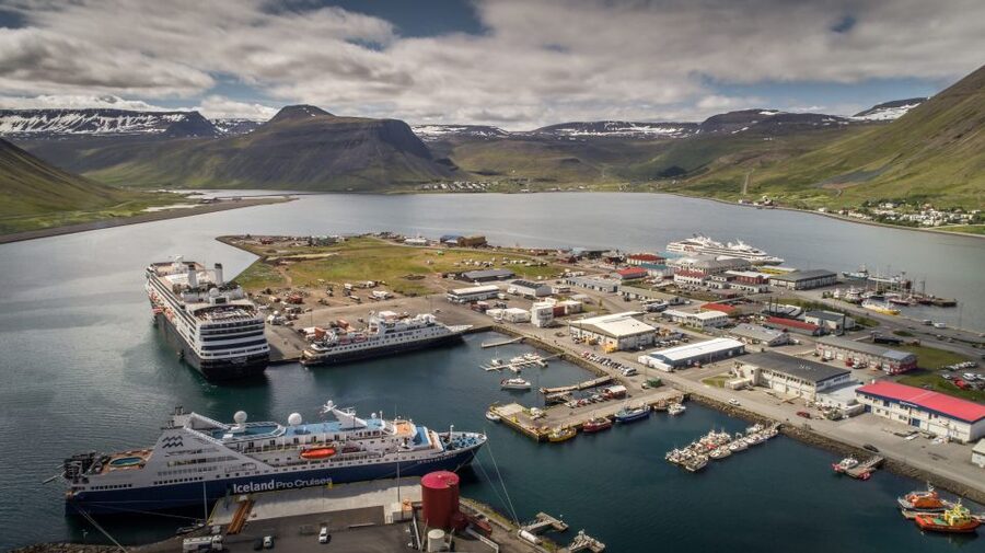 Isafjordur: Dynjandi Waterfall Tour and Icelandic Farm Visit - Who will enjoy this half-day tour?