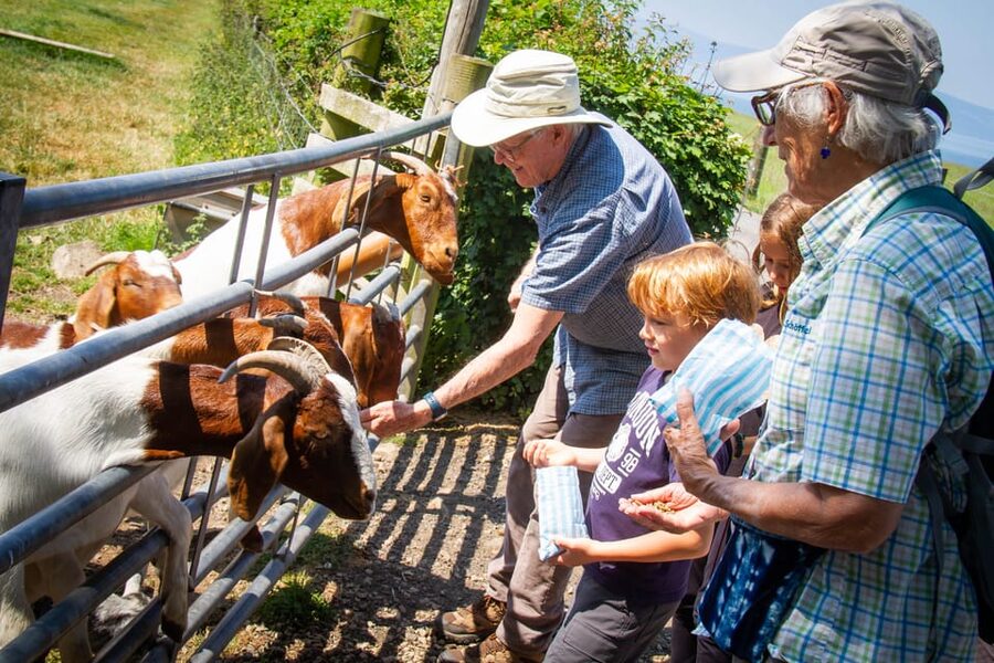Isle of Arran: Exclusive Private Farm Tour with the Farmer - Practical advice for a smooth visit