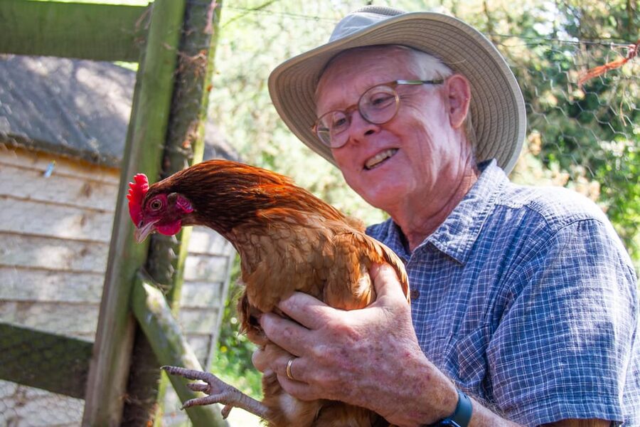 Isle of Arran: Exclusive Private Farm Tour with the Farmer - Feeding Highland cows, goats, and alpacas
