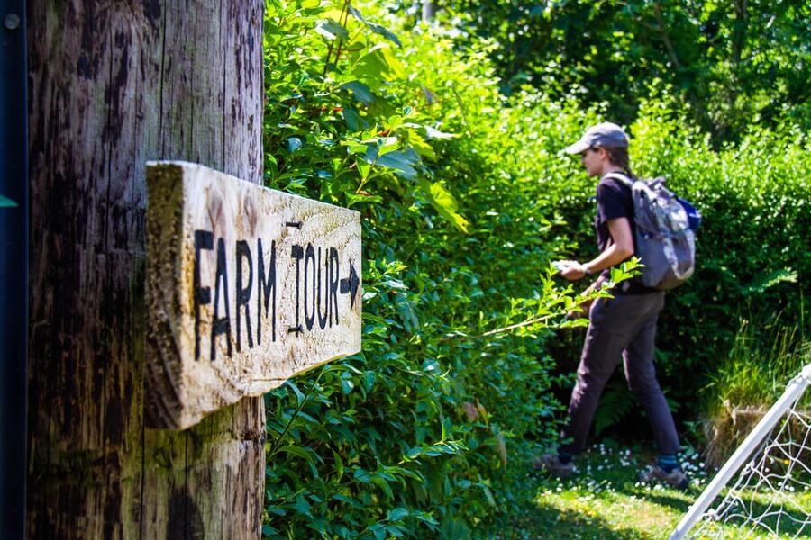 Isle of Arran: Exclusive Private Farm Tour with the Farmer - Arable fields and barley for local whisky