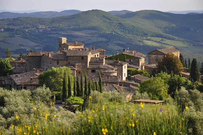 It's Wine Time! 2 wineries & farm-to-table lunch—max 8 pp - Wine, Olive Oil, and the Chance to Buy Something Special