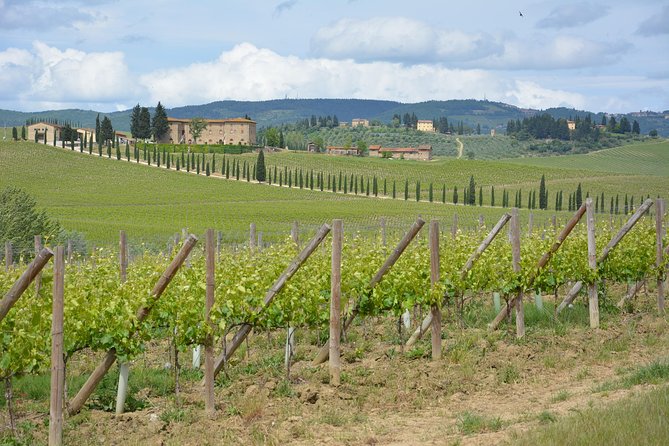 It's Wine Time! 2 wineries & farm-to-table lunch—max 8 pp - Should You Book It?
