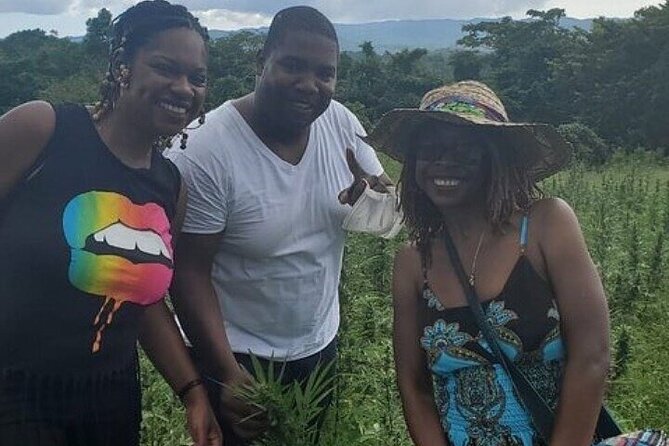 Jamaica Farm Private Dispensary Tour Montego Bay - A short start on Montego Bay’s Hip Strip
