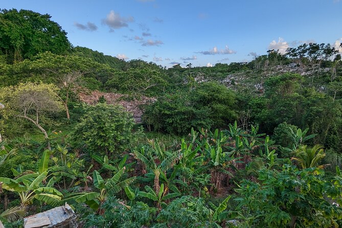 Jamaican Roots Tropical Farm Tour - Taste & Explore (Negril) 2hr - The fruit tasting is more than a snack