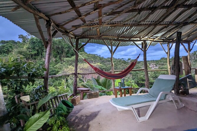 Jamaican Roots Tropical Farm Tour - Taste & Explore (Negril) 2hr - Optional Jamaican food after the tour