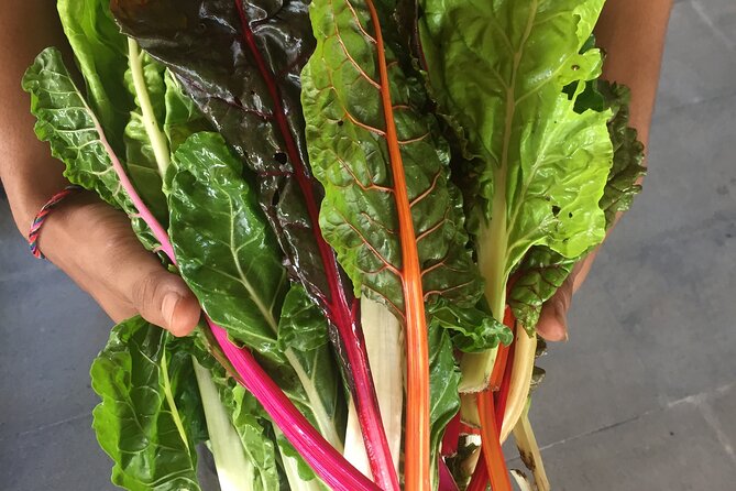 Jean Talon Farmer's Market Tour x Michelin-Trained Chef - Key points to know before you book