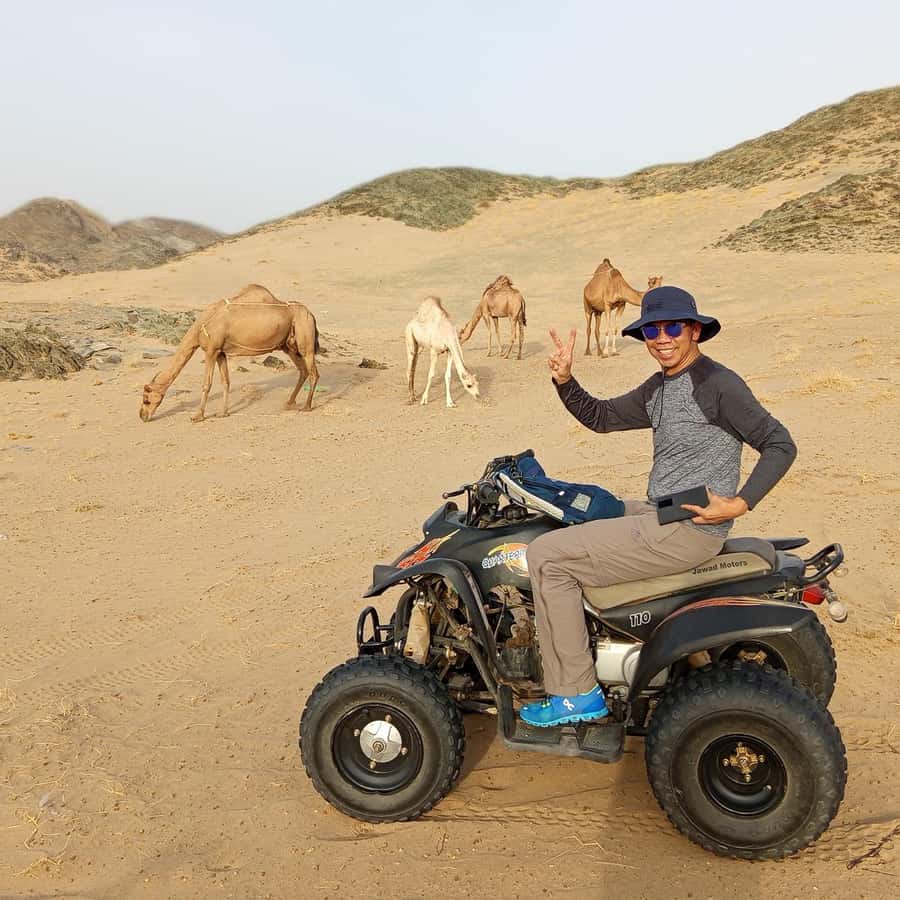 Jeddah Desert Safari: Quad Biking, Camel Farm & Sunset Views - How good is the $221 price?