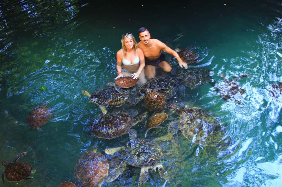 Joazani forest & Spice farm with lunch - Two sides of Zanzibar in one day
