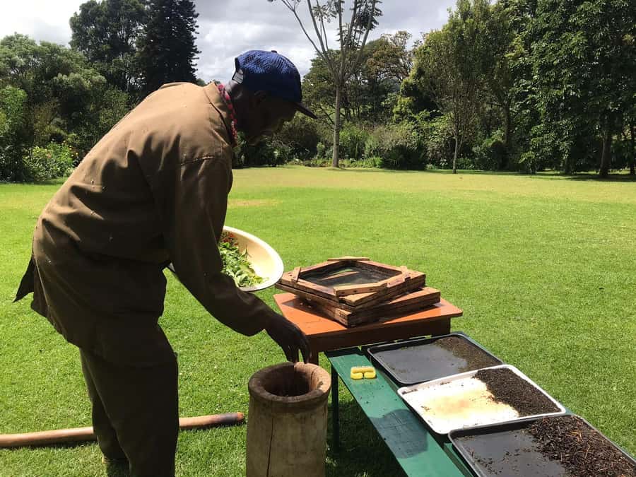Kaimbethu tea farm tour and lunch package - A green escape from Nairobi