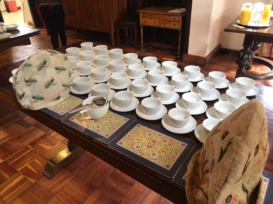 Kaimbethu tea farm tour and lunch package - Walking through tea fields and indigenous forest