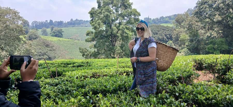Kaimbethu tea farm tour and lunch package - Views toward the Ngong Hills