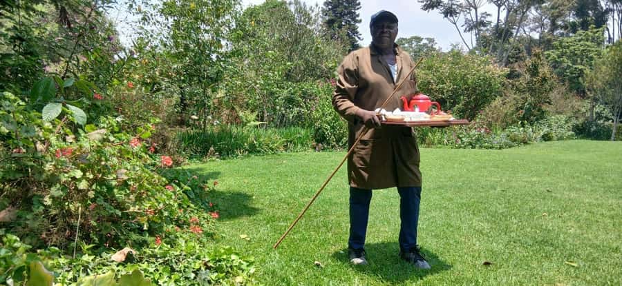 Kaimbethu tea farm tour and lunch package - Transport, timing, and the $50 question