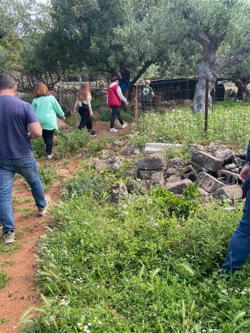 Kalamata: Farm-to-Table Experience with Cooking - Cooking Kagianas, salad, and beef patties