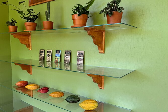 Kamananui Cacao Orchard Tour - Why cacao makes this North Shore tour worthwhile