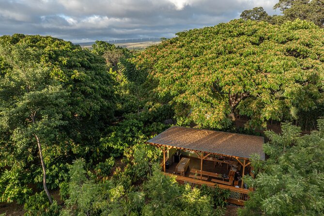 Kamananui Cacao Orchard Tour - Getting there from Honolulu and along Farrington Highway