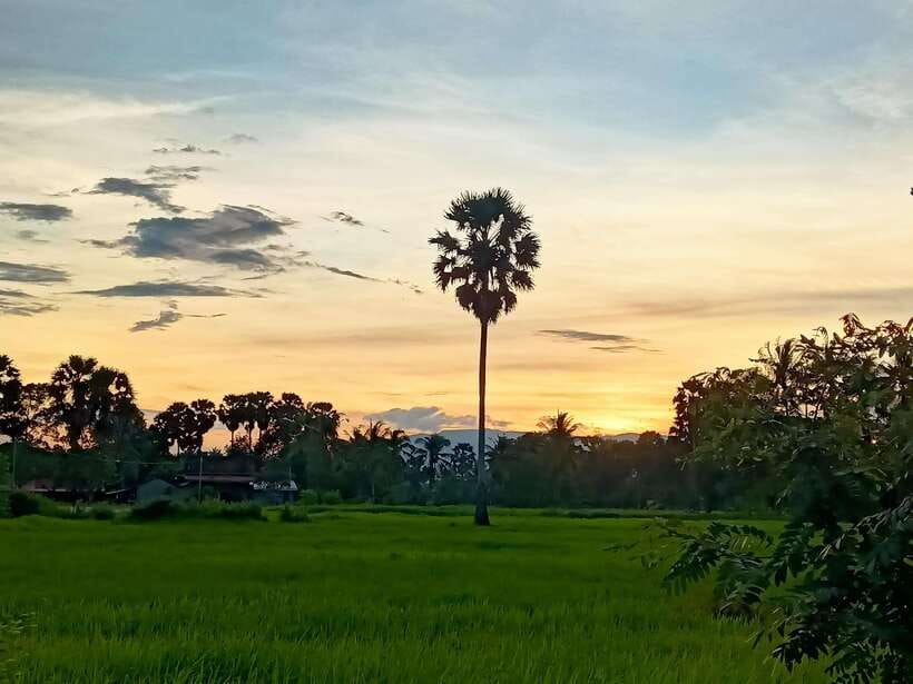 Kampot Countryside include Pepper farm,Kep crab market beach - A full day beyond Kampot town