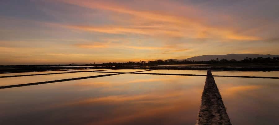 Kampot Countryside include Pepper farm, Salt field & Lake - La Plantation pepper farm: the main event