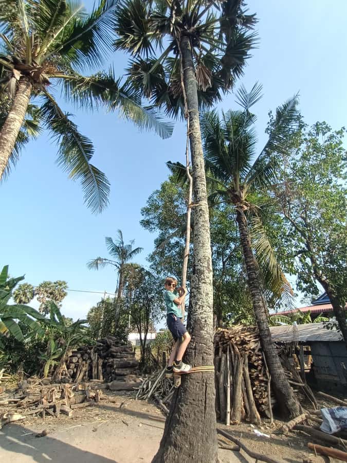 Kampot Countryside include Pepper farm, Salt field & Lake - Morning or afternoon?