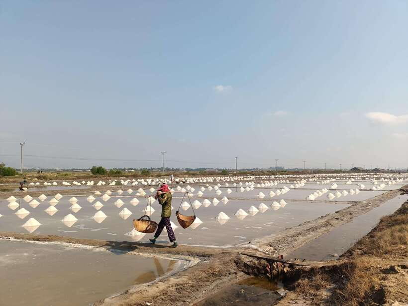 Kampot: Full-day Countryside Tour with Pepper Farm and Kep - Should you book the Kampot countryside and Kep tour?