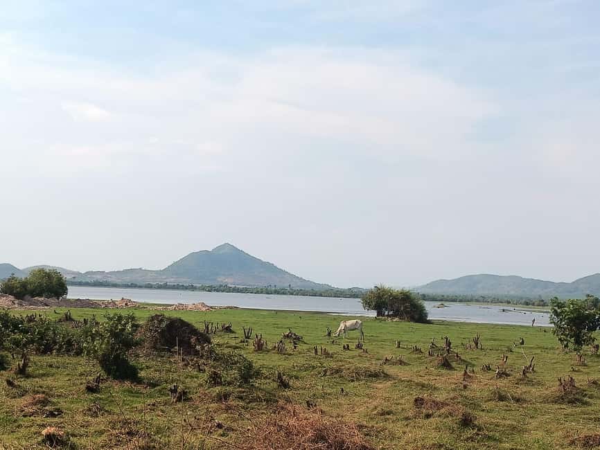 Kampot Pepper farm Enjoy Tour & Testing our process 4 free - Why Kampot pepper deserves a closer look