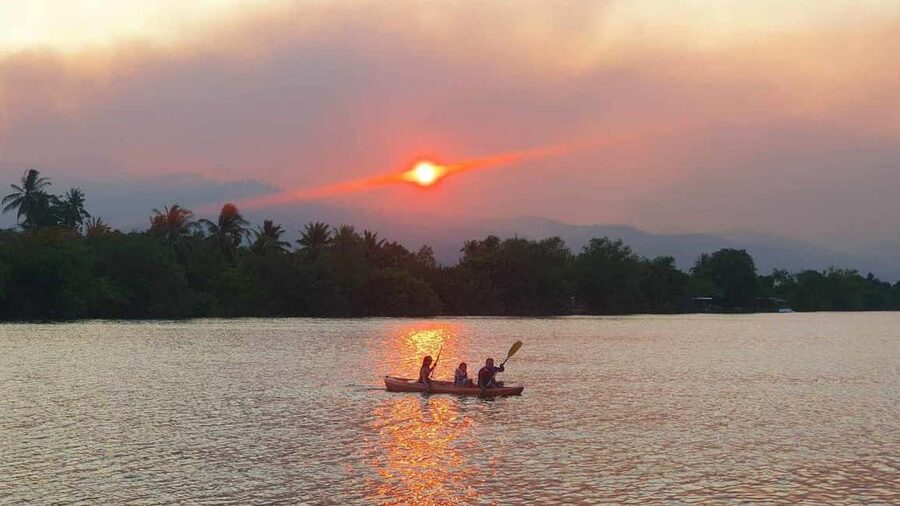 Kampot Pepper farm & Kayak trip around Green cathedral Sunse - La Plantation: learning why Kampot pepper matters