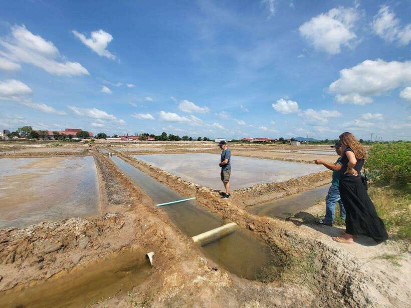 Kampot Pepper Farm, Salt Fields, Cave from Sihanoukville - The salt fields and Cambodia’s coastal work