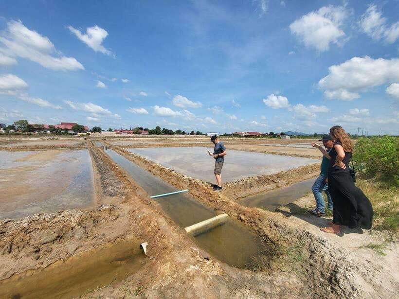 Kampot Pepper Farm, Salt Fields, Crab Market from Phnom Penh - La Plantation, where Kampot pepper gets its attention
