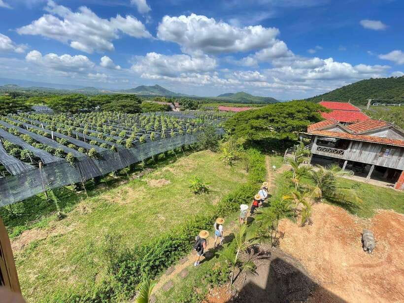 Kampot Pepper Farm, Salt Fields, Crab Market from Phnom Penh - What $87 means in practical value