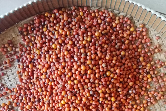 KAMPOT- Pepper farm ..salt fields.Kep/Crab market & more........ - Why this Kampot day trip works