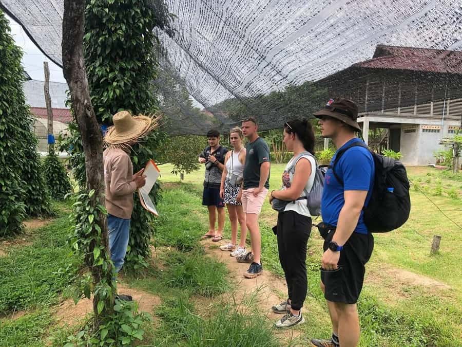 Kampot Private Tour: Pepper Farm, Salt Field & Secret Lake - What your driver adds to the day