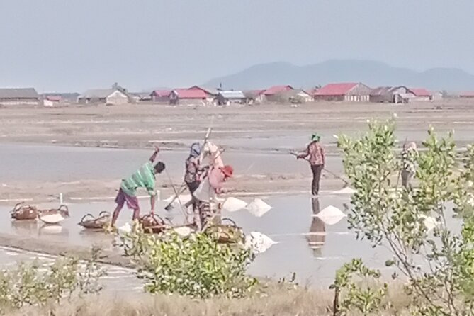 KAMPOT TRAVEL-Pepper farm. Cave.Secret lake-Crab market & Salt... - Phnom Chhngok Cave Temple: a shrine below the hills