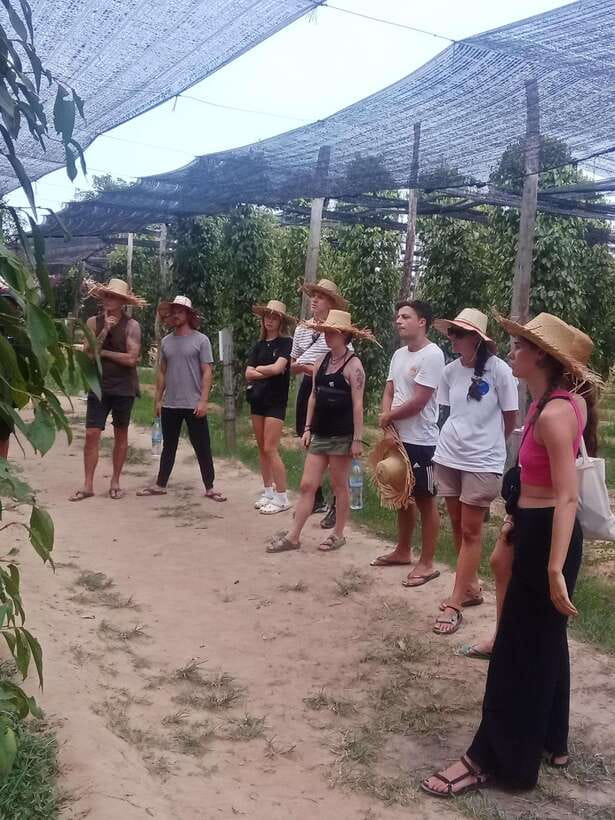 Kampot: Tuk Tuk Trip to Pepper Farm, Kep, Crab Market & More - Through Khmer villages by open-air tuk tuk